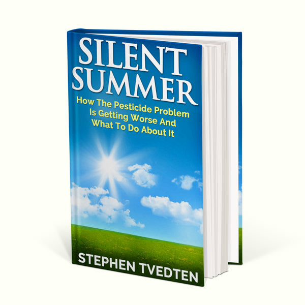 Silent Summer image 0