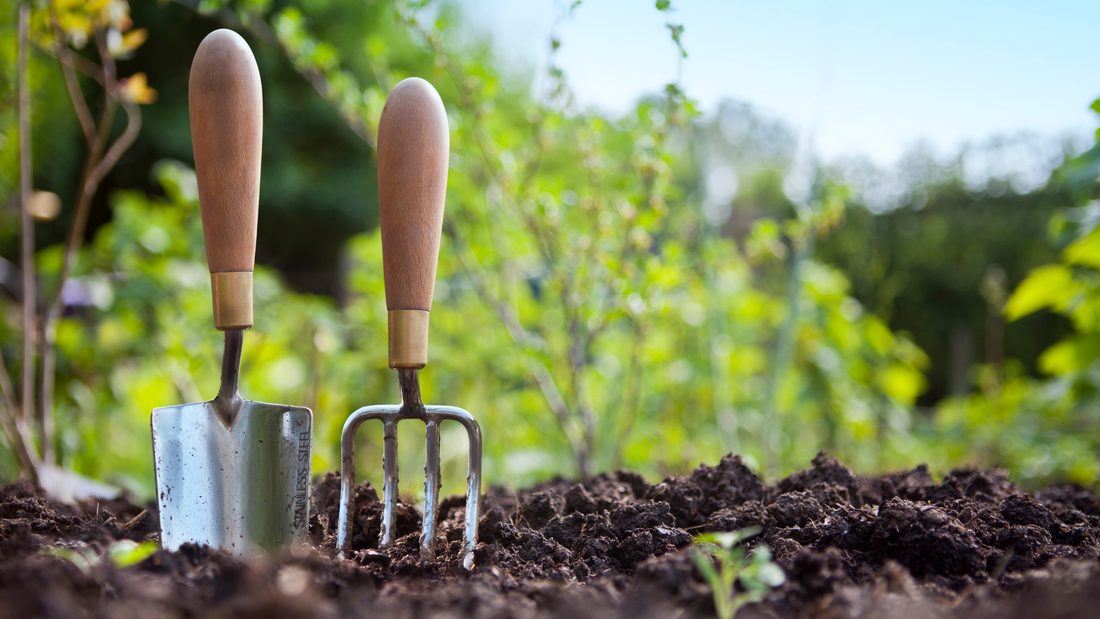 10 Beneficial Bugs In Your Garden