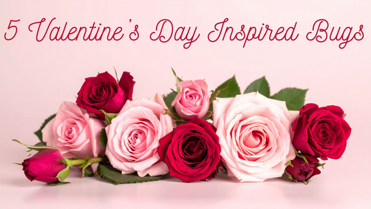 5 Valentine’s Day Inspired Bugs