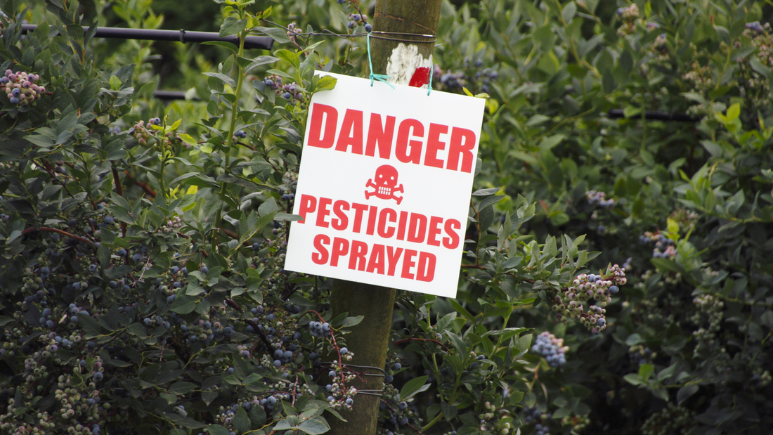 Biomagnification: The Only Good Residue, Is No Residue