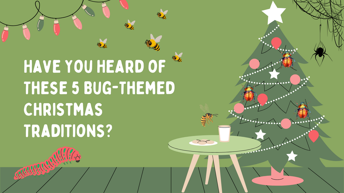 Have You Heard of These 5 Bug-Themed Christmas Traditions?