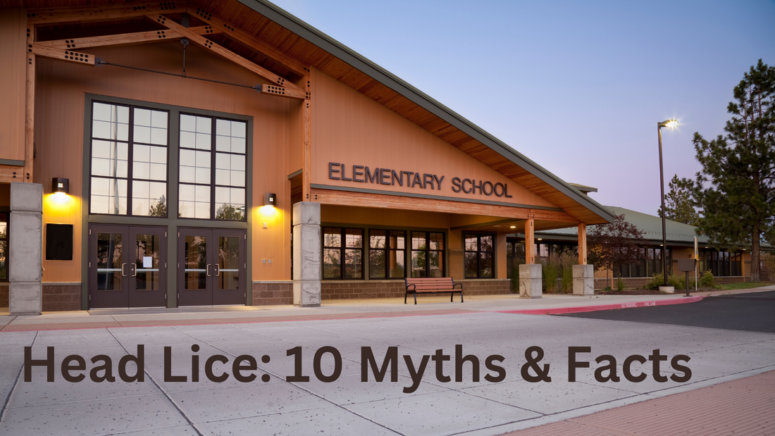 Head Lice: 10 Myths & Facts