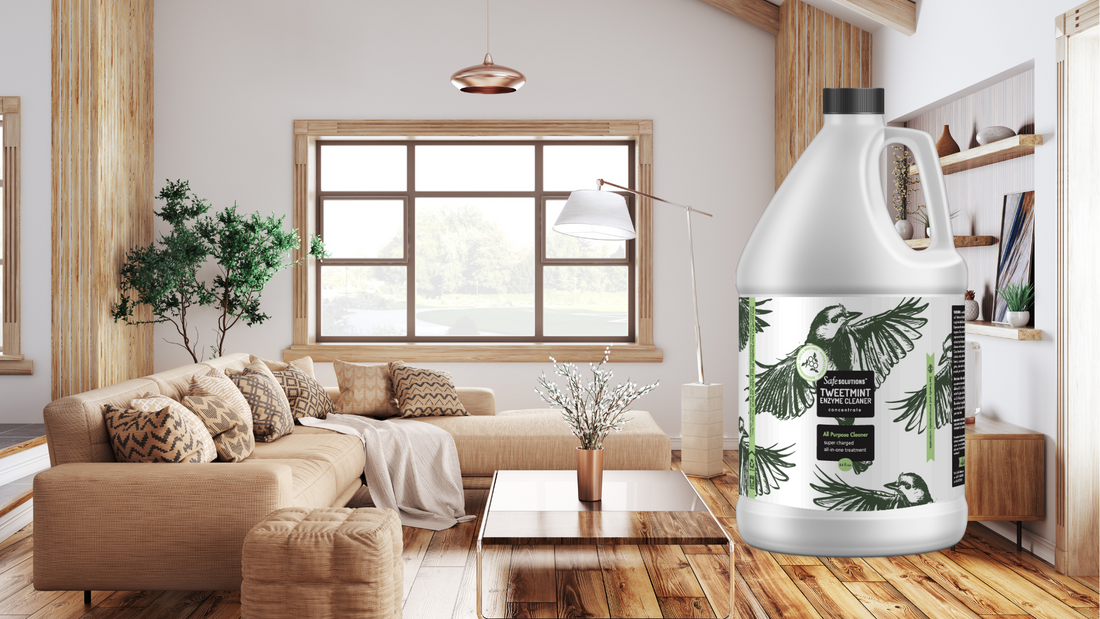 TweetMint 101: Scent-Sationally Clean Living Room