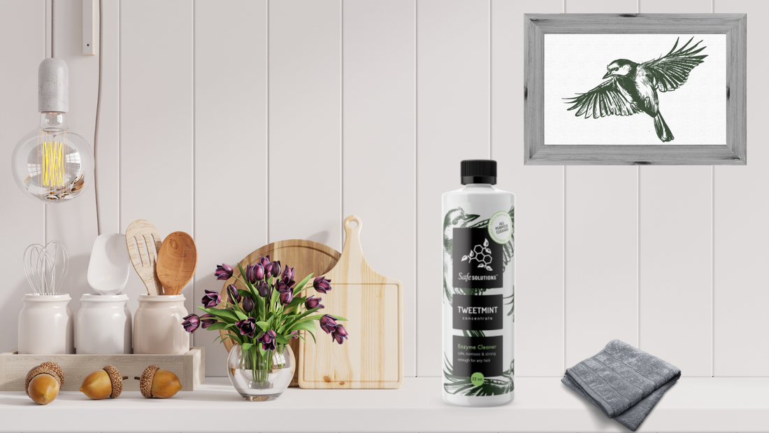 TweetMint 101: Sustainably Clean Kitchen Guide