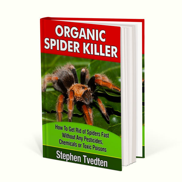 Organic Spider Control image 0