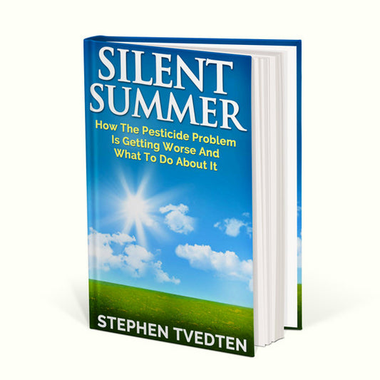 Silent Summer image 0