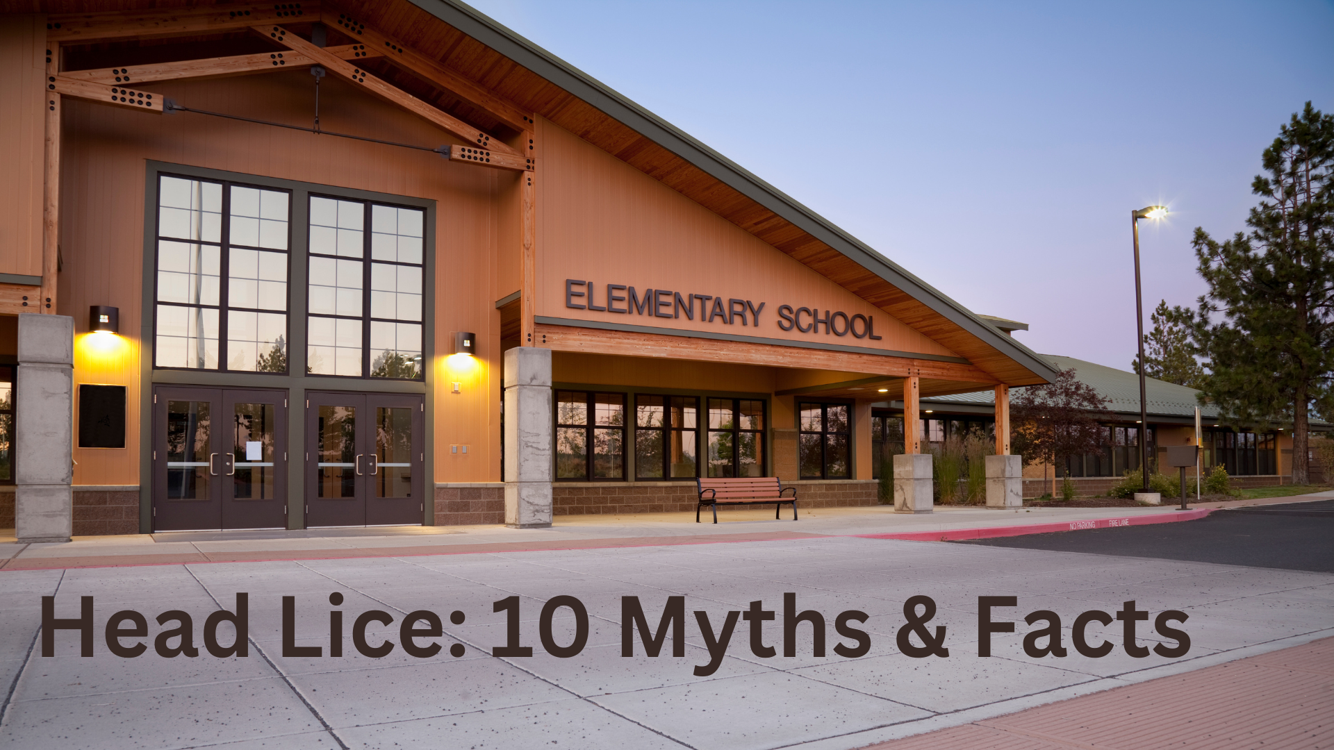 Read more about the article Head Lice: 10 Myths & Facts