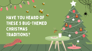 Read more about the article Have You Heard of These 5 Bug-Themed Christmas Traditions?